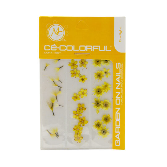 MC colorful naturaleza muerta mix sun light