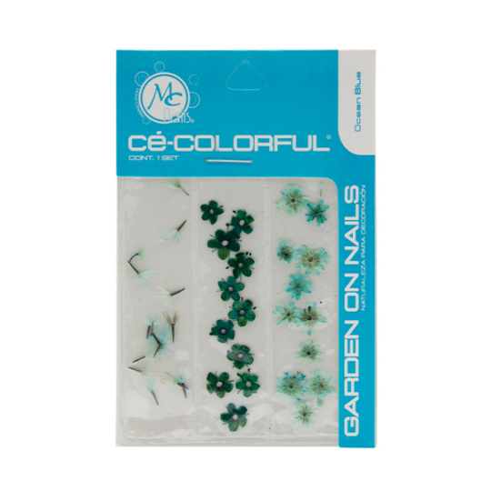 MC colorful naturaleza muerta mix ocean blue